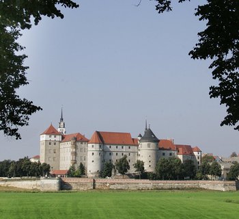 Blick zwischen zwei Bäume über eine Wiese auf Schloss Hartenfels